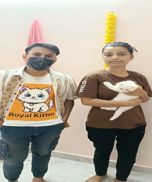 happy cat parents with their kitten from trusted Persian cat breeders